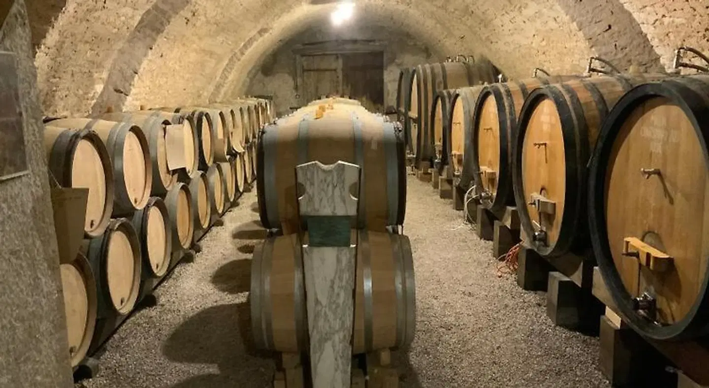 Les maisons vigneronnes SPORTS_AND_LEISURE