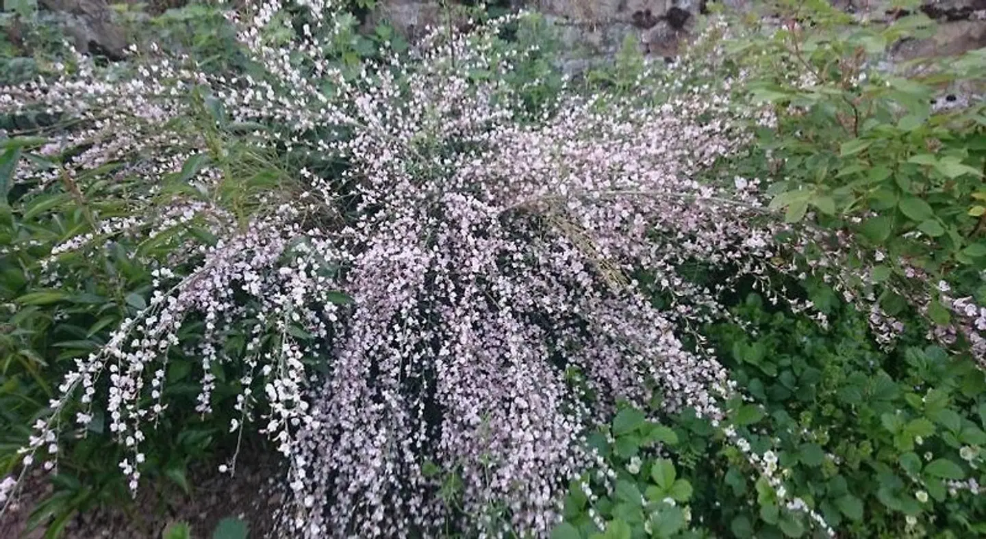 Le Manoir sur la Roche LANDSCAPE