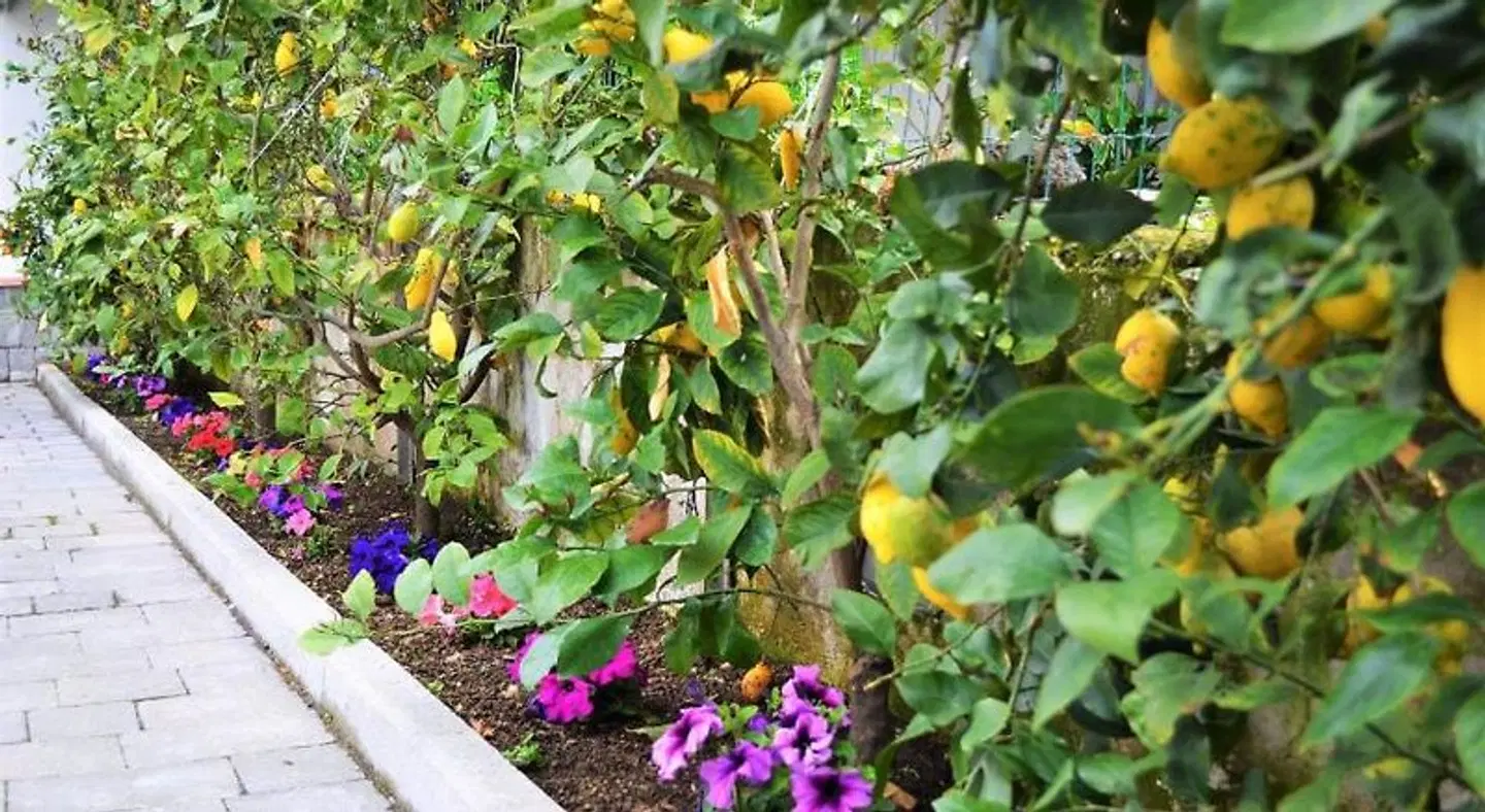 Casa Fiorita Gragnano LANDSCAPE