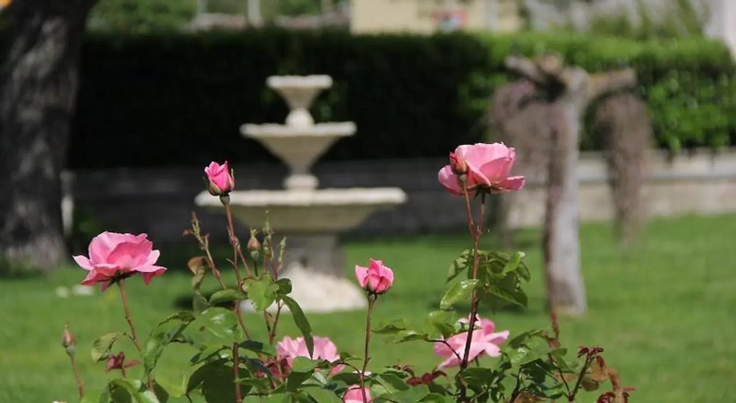 B&B B&S Garten