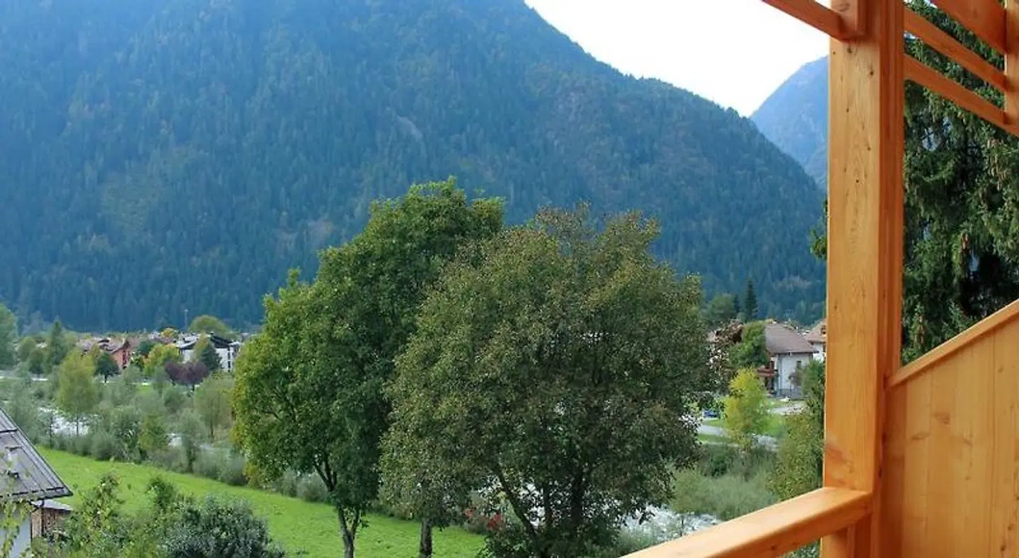 Edelweiss Alpine Nature LANDSCAPE