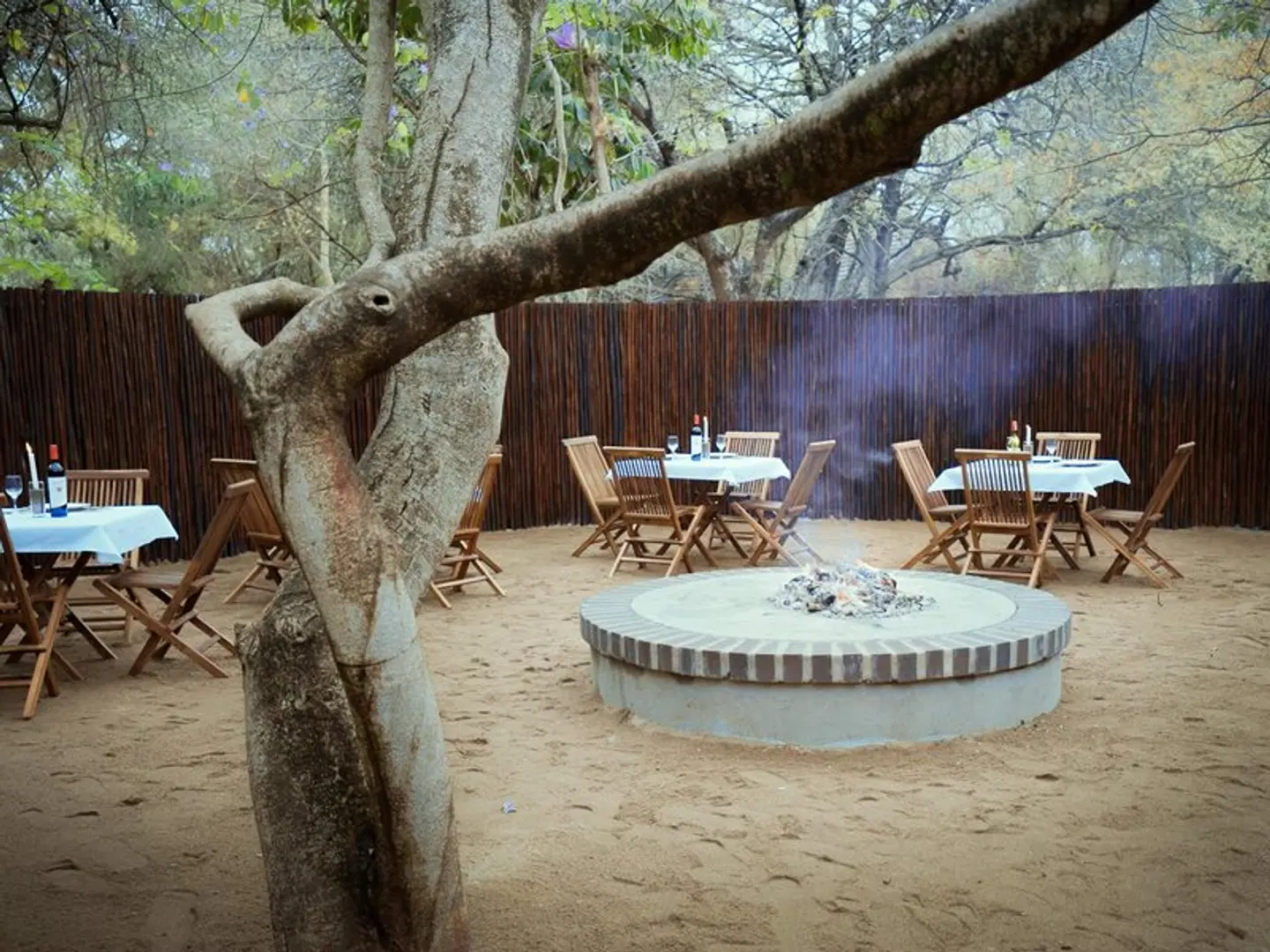 Kruger Eden Lodge Tiere