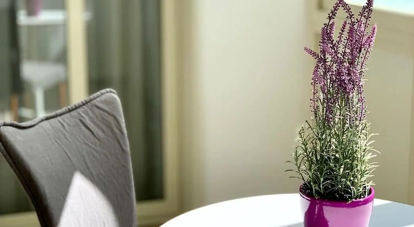 Ambasciatori B&B HEALTH_BEAUTY