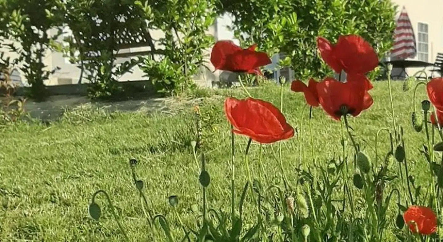 Le Feneau Garten