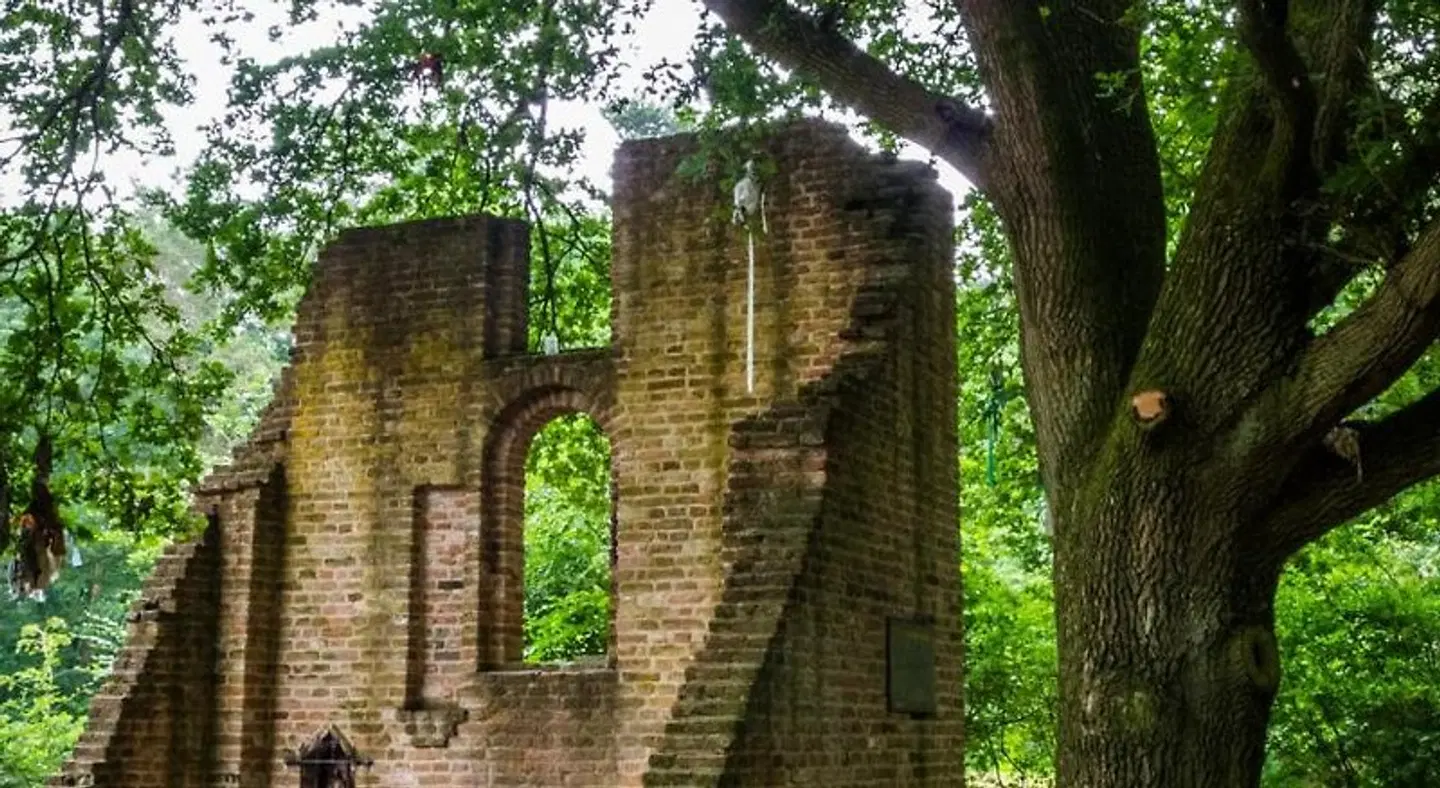 Bij de 3 Linden LANDSCAPE
