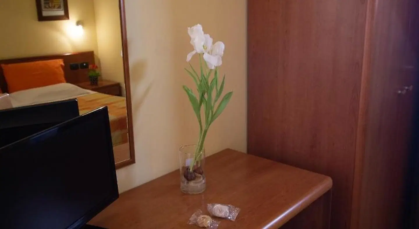 Merlino ROOM_EXAMPLE