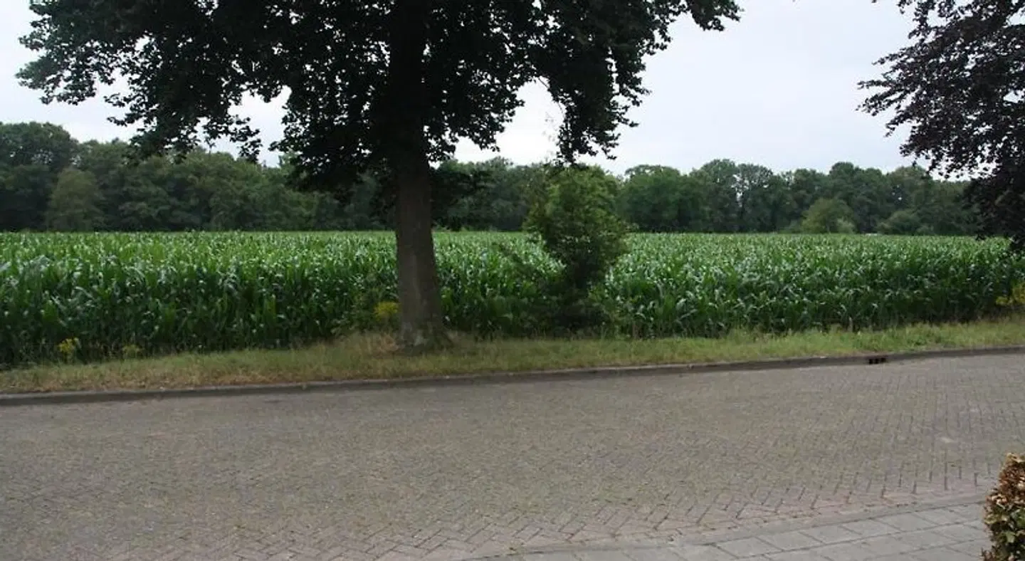tisOKE LANDSCAPE