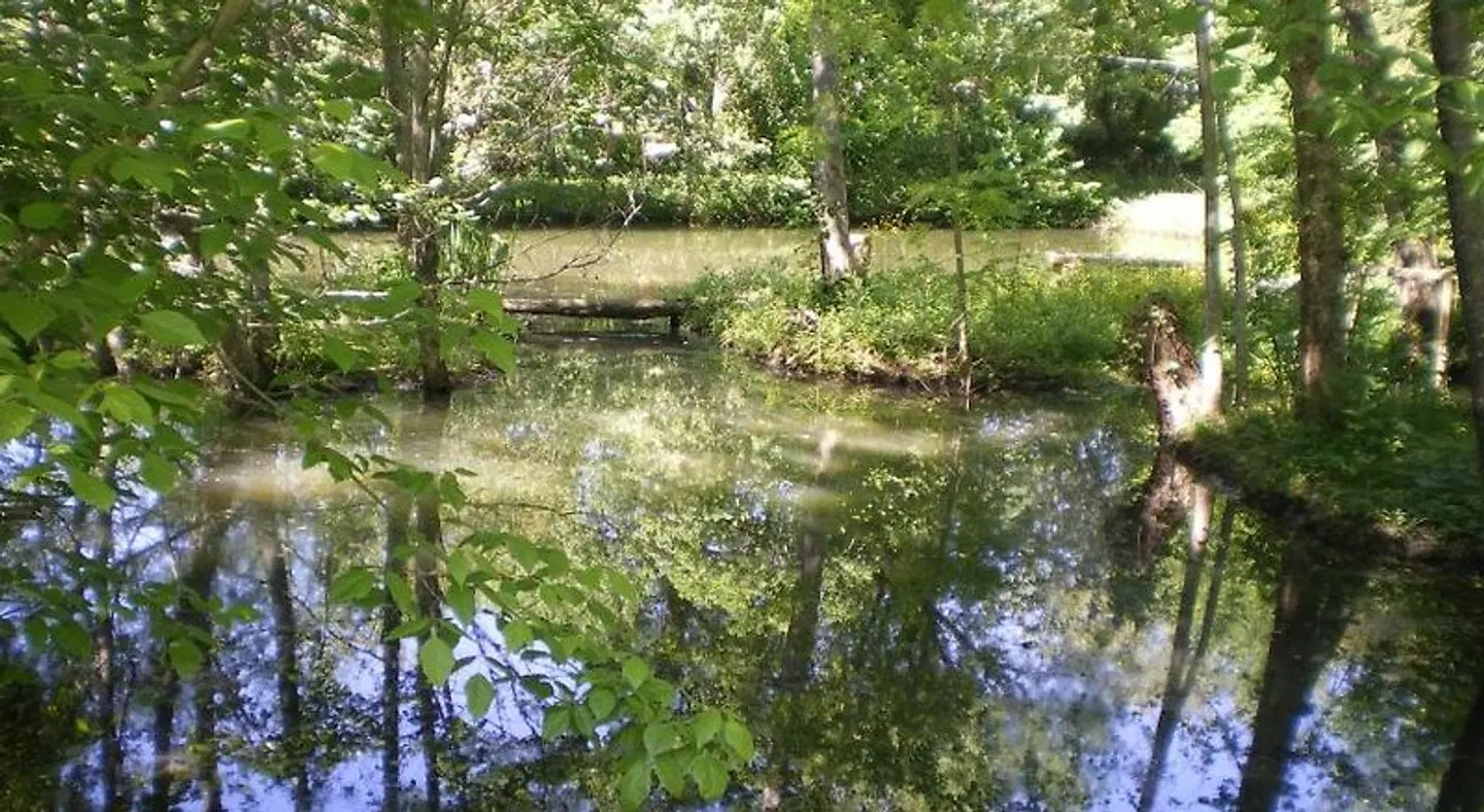 Les Jardins d'Ungaro LANDSCAPE