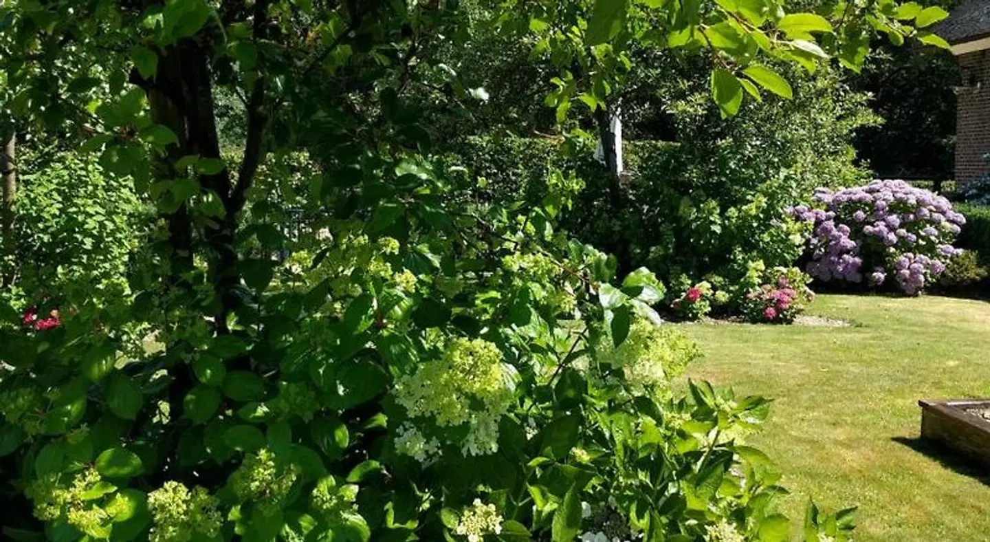 B&B Agnetenhoeve Garten