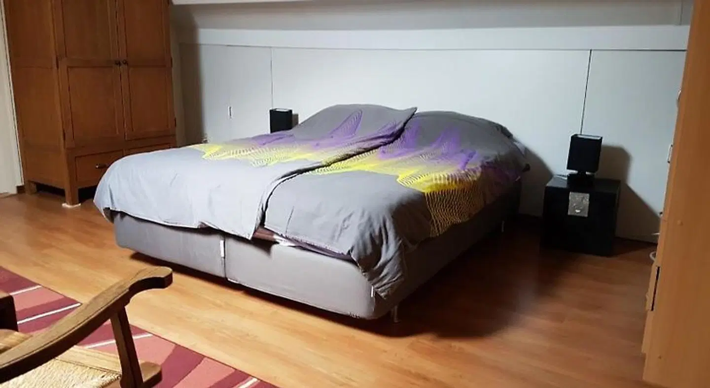 De Boerebeemd ROOM_EXAMPLE