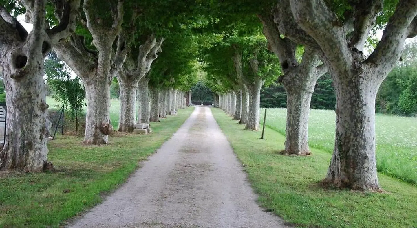 Chambre d'hôtes Le Mas Saint Jacques Garten
