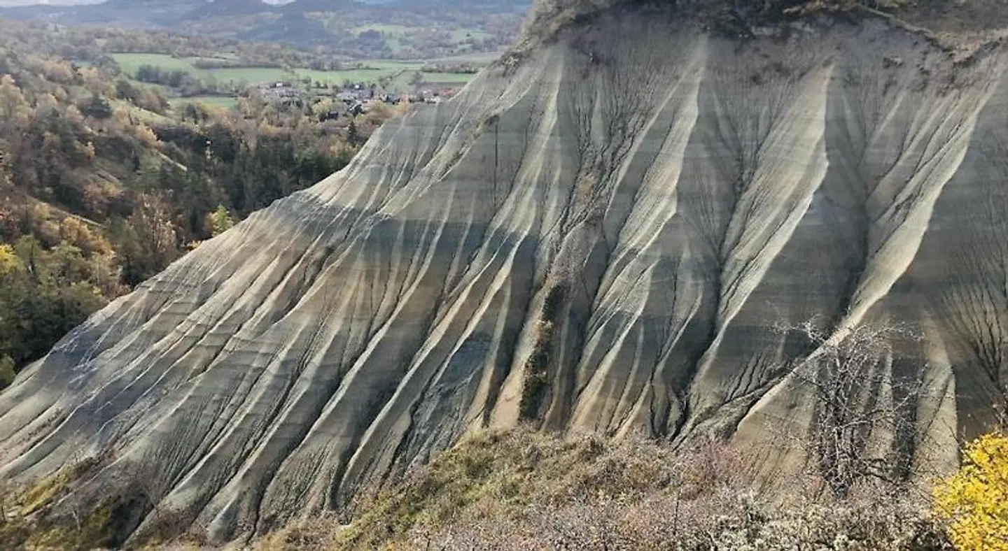 Chambres d'Hôtes La Fougeraie Tiere