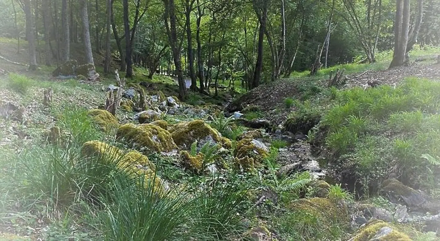 Les Cabanes De Pyrene LANDSCAPE