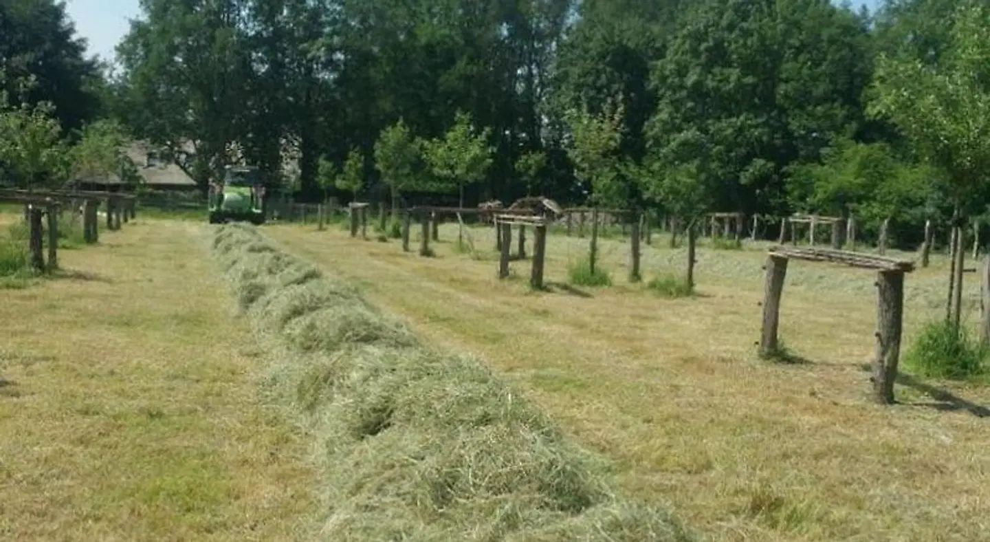 landgoed Groot Boerle LANDSCAPE