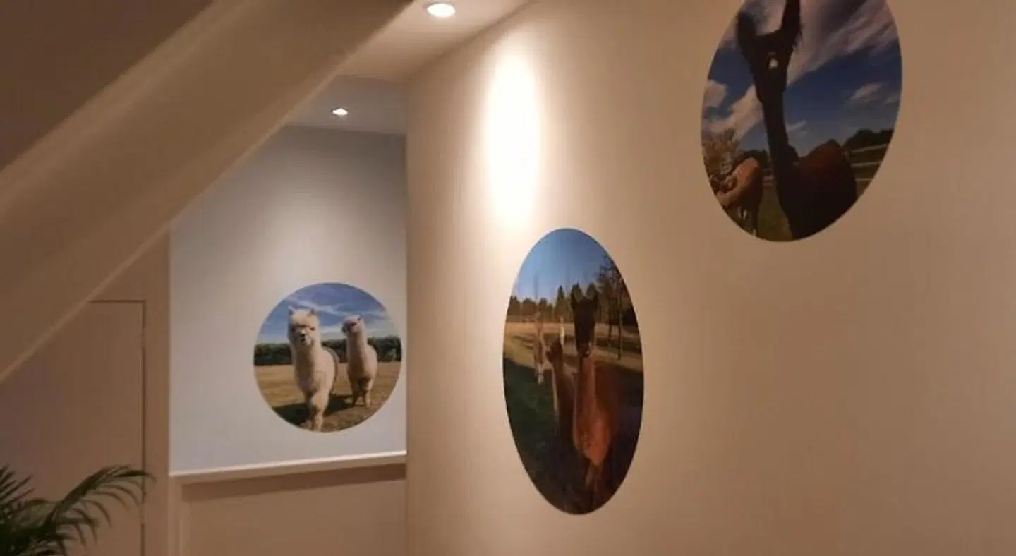B&B De Raamberg SPORTS_AND_LEISURE