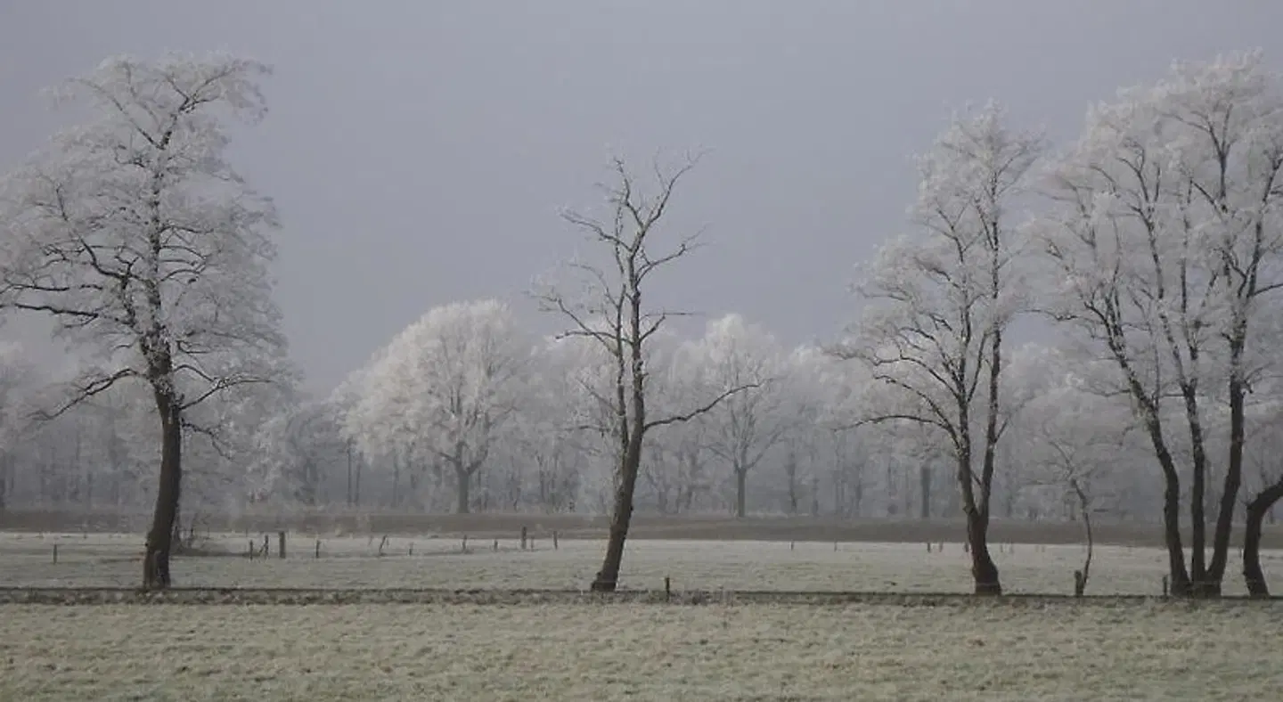 El Manso LANDSCAPE