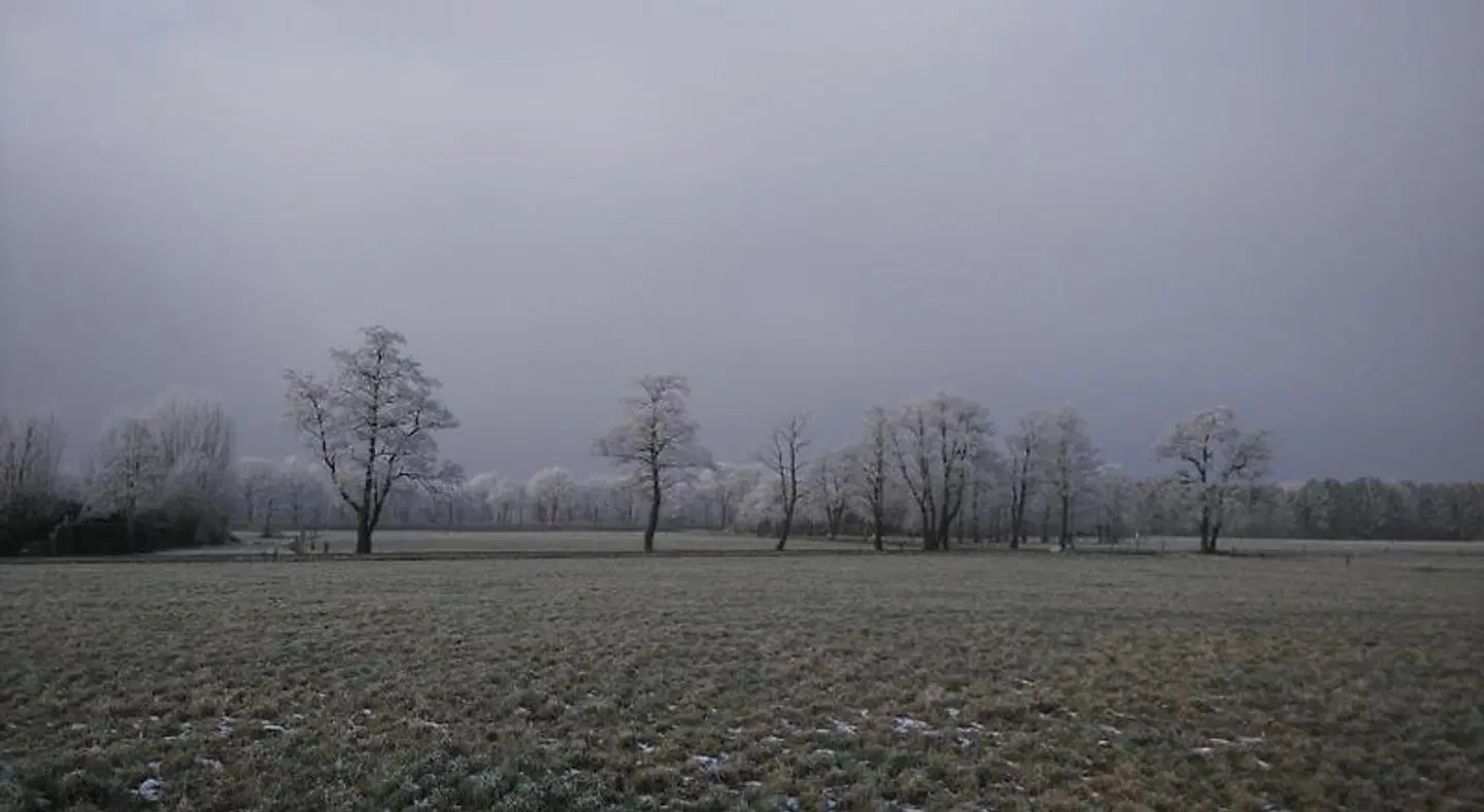 El Manso LANDSCAPE
