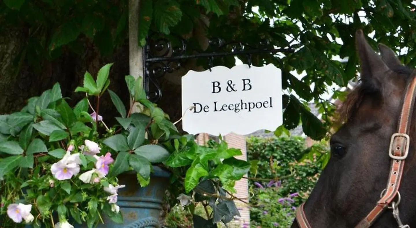 B&B De Leeghpoel LANDSCAPE