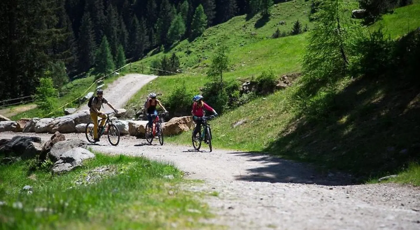 Hotel Garnì Alpenrose Tiere