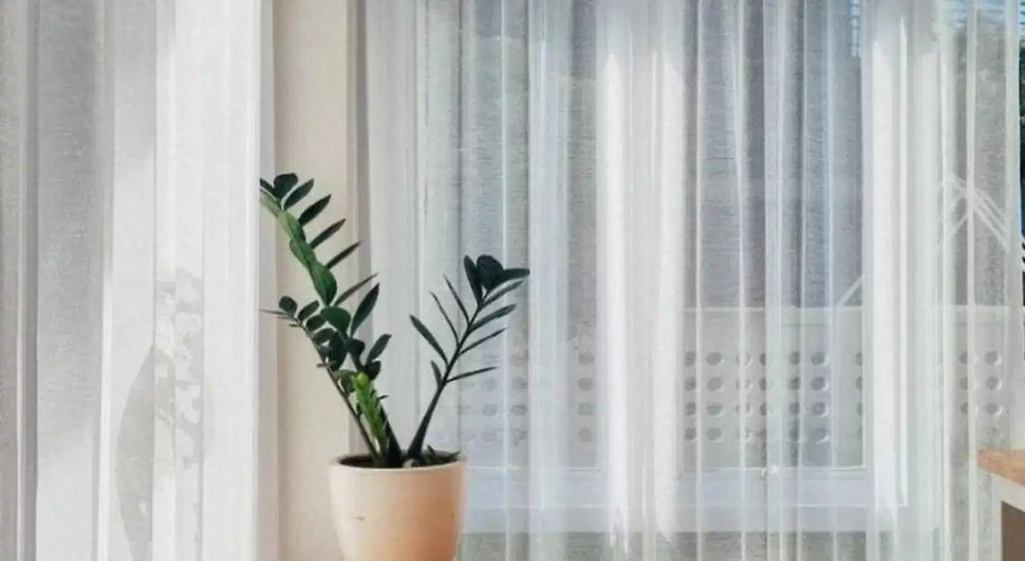 Bloomin' Moon hostel & cafe, Chiang Mai Old Town Wohnbeispiel