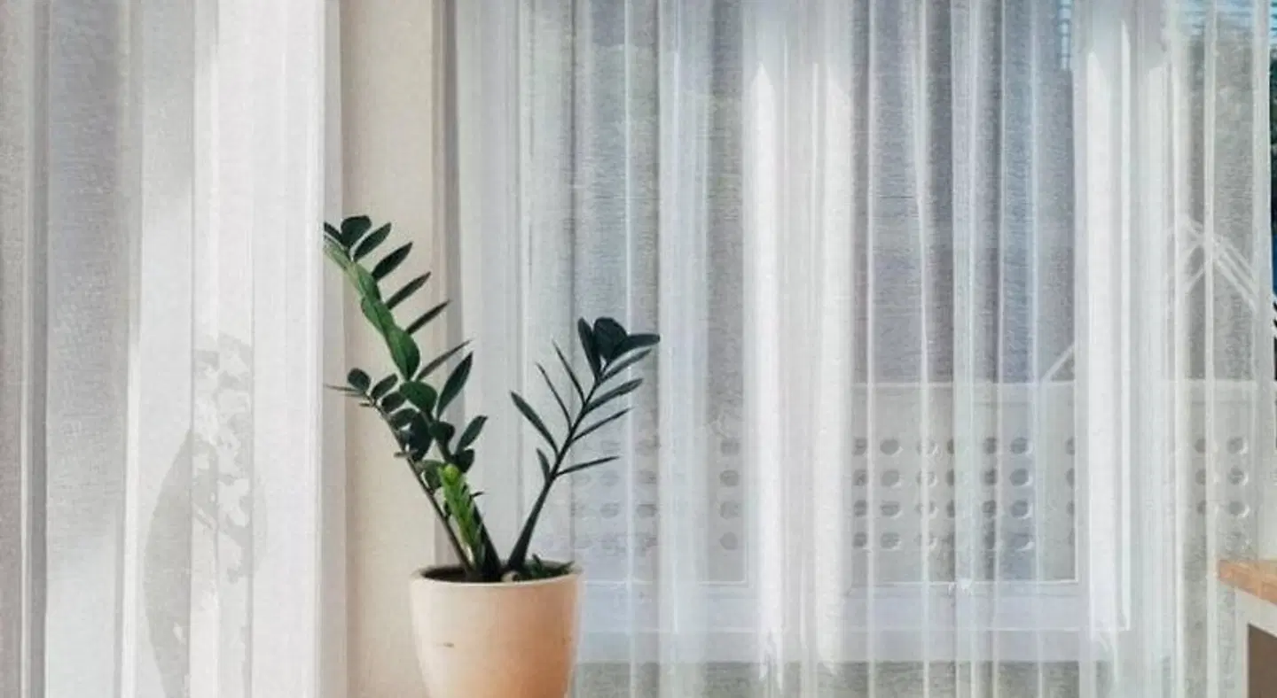 Bloomin' Moon hostel & cafe, Chiang Mai Old Town ROOM_EXAMPLE