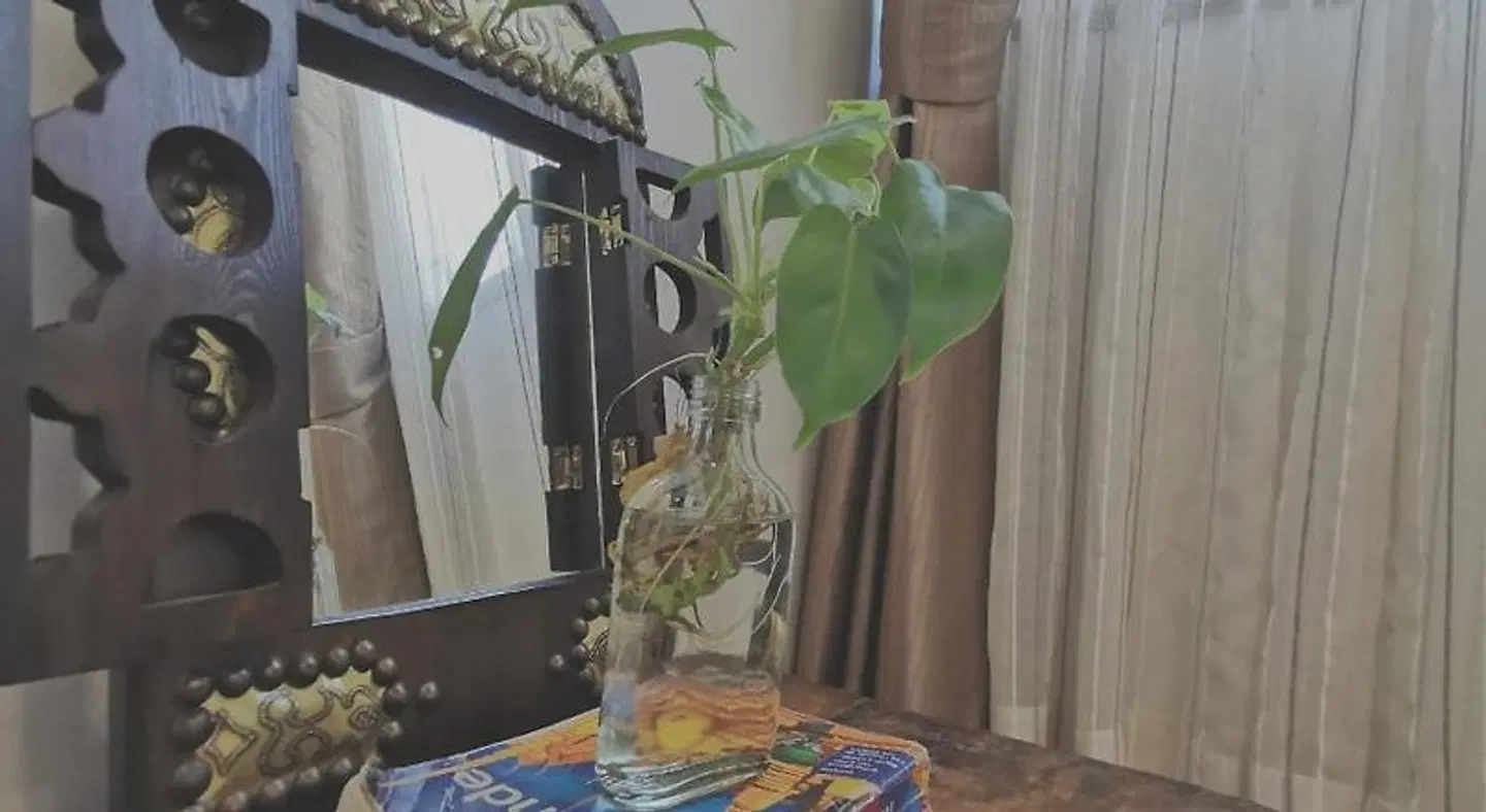 Stay Here Hostel Phra-Singh Chiangmai ROOM_EXAMPLE