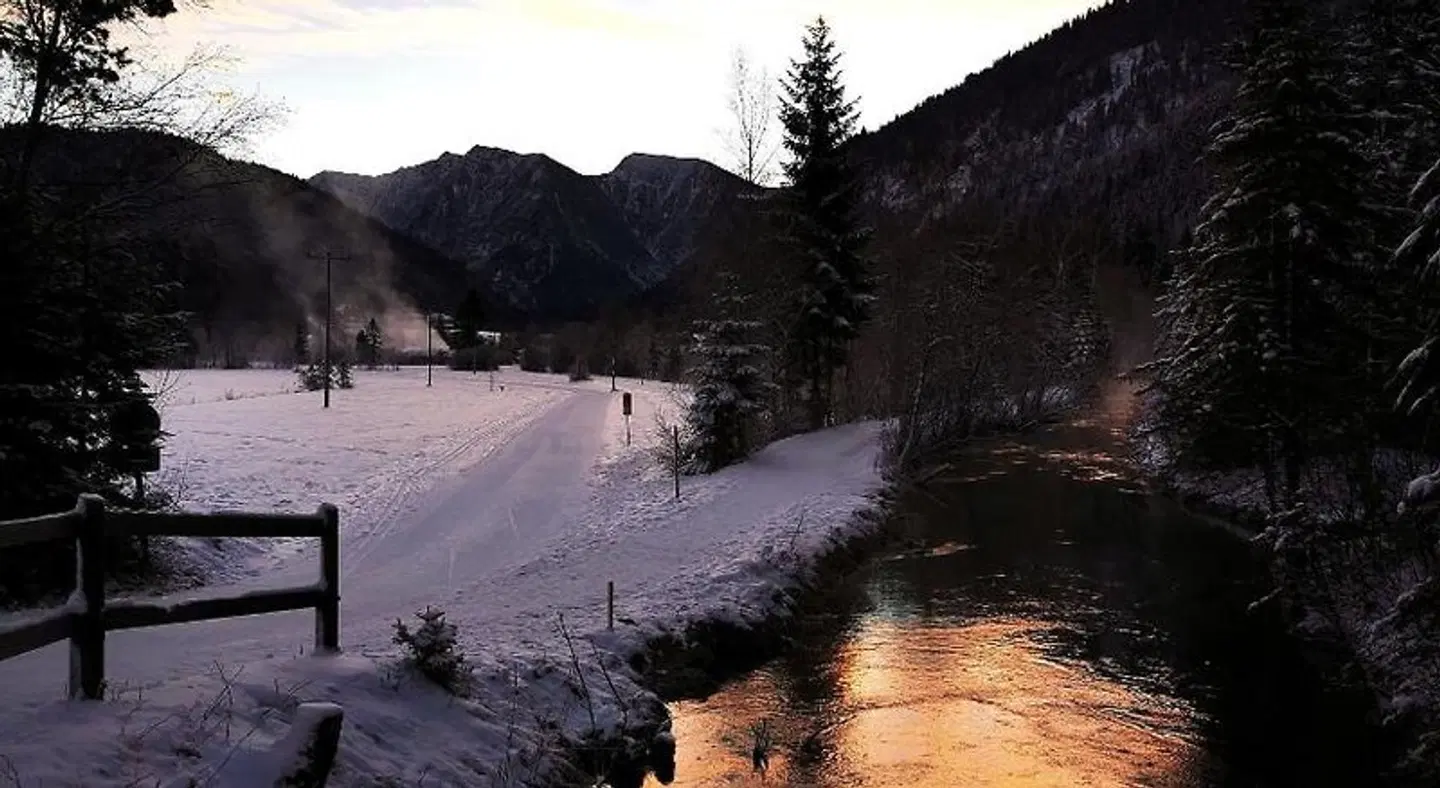 Neu LANDSCAPE