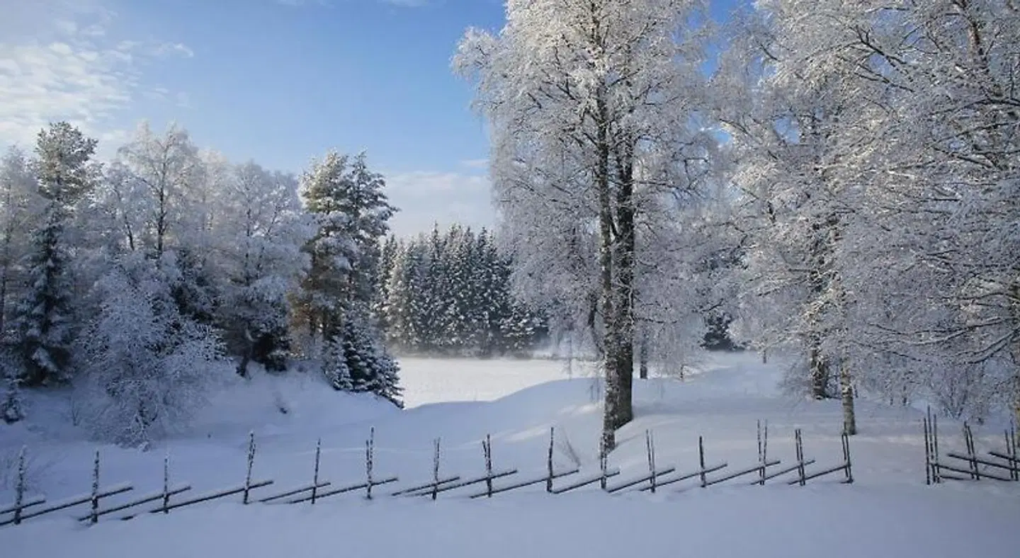Mannflogården Bed & Breakfast LANDSCAPE
