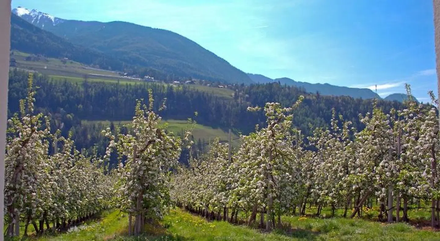 Pension Thalerhof LANDSCAPE