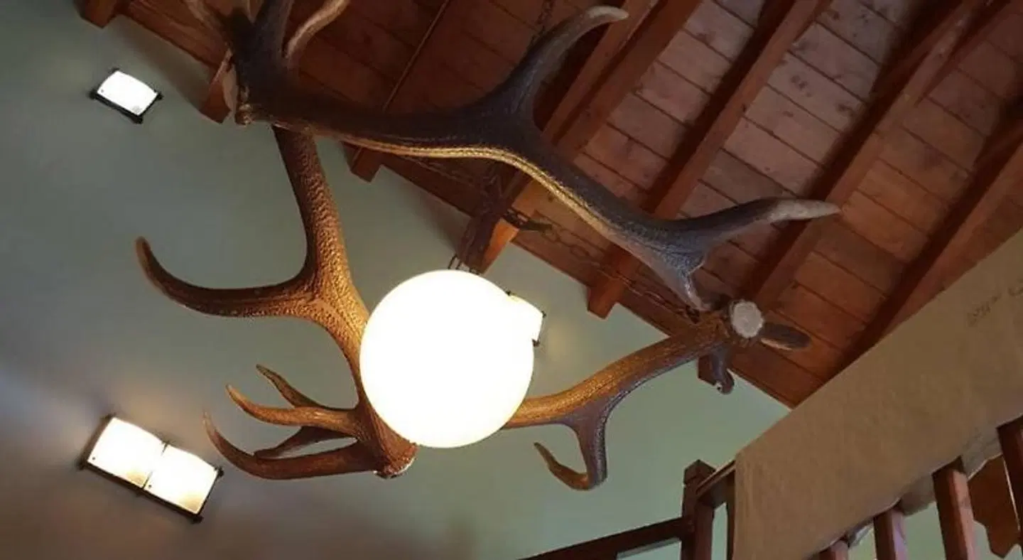 Pallas Casa Konferenz