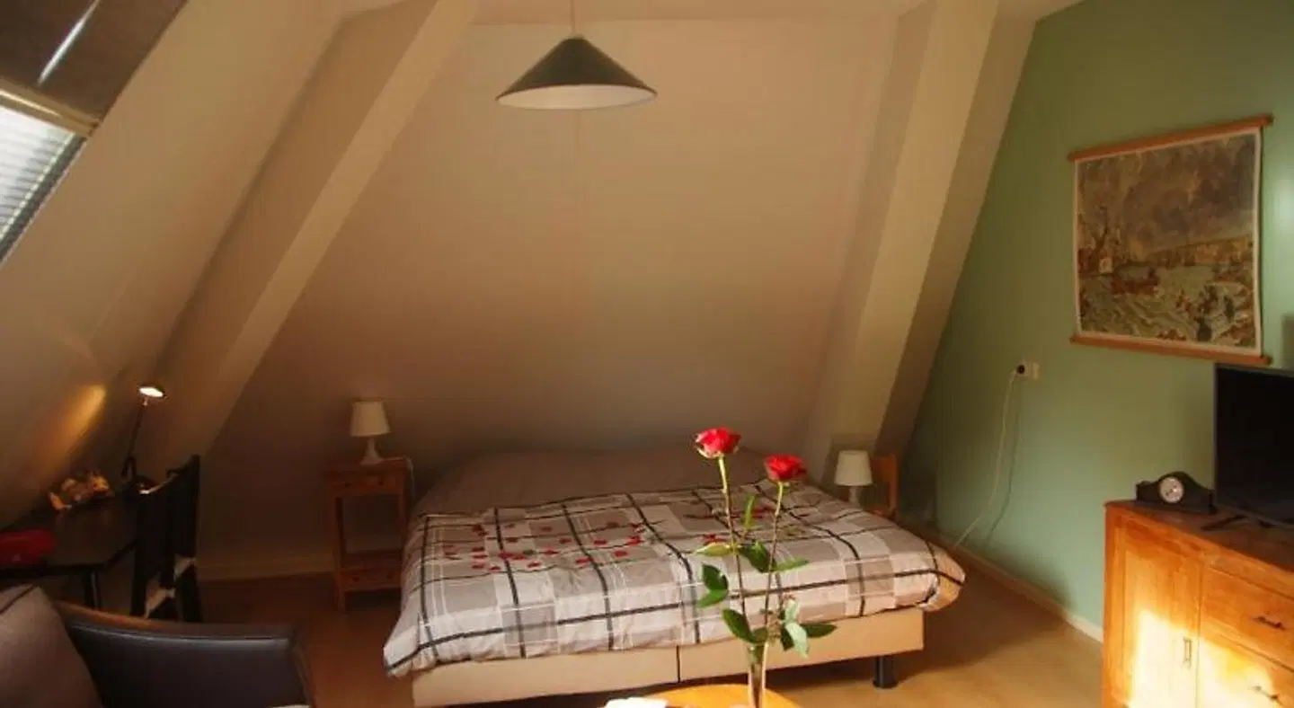 Noflik Haule ROOM_EXAMPLE