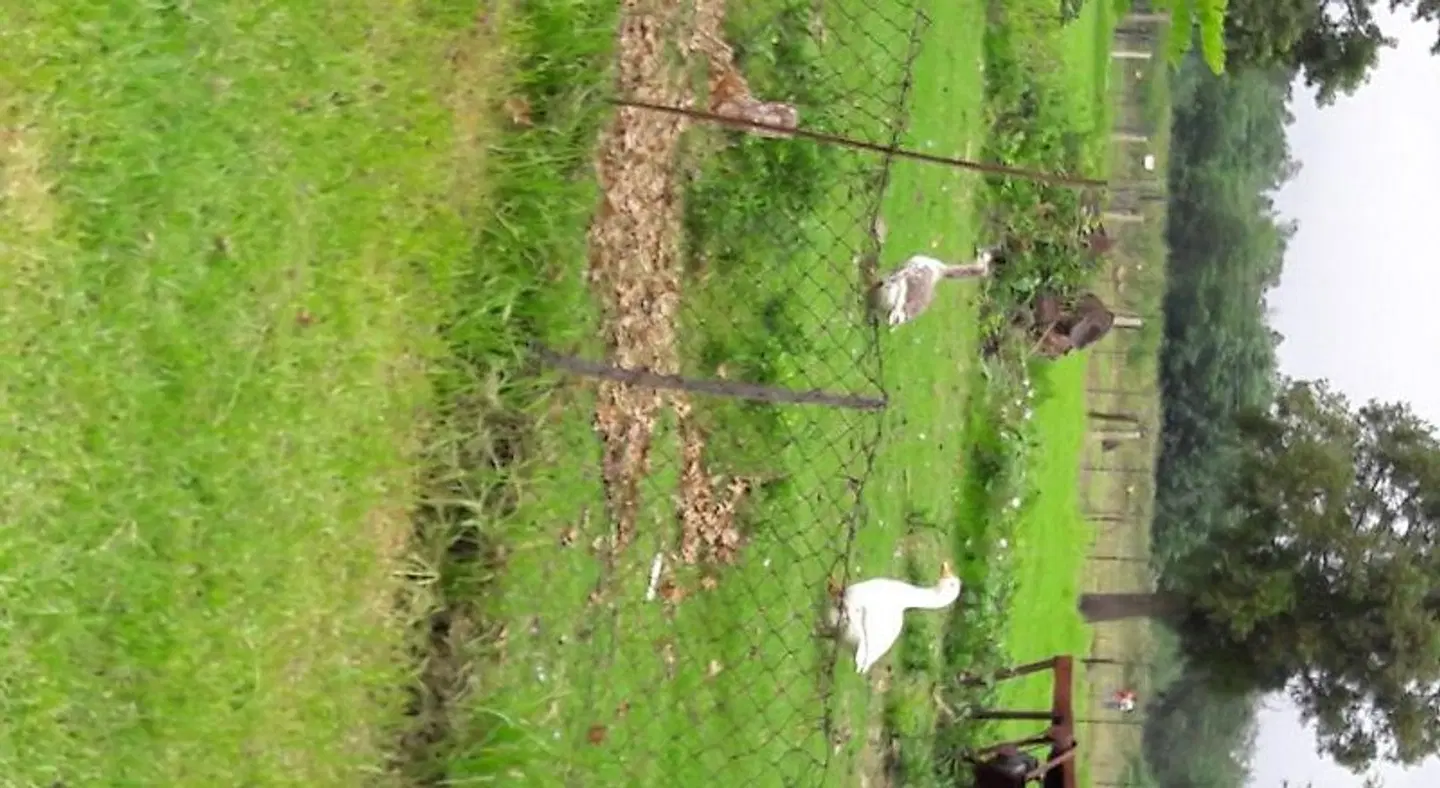 Hoyo Hoyo Machadostud Lodge LANDSCAPE