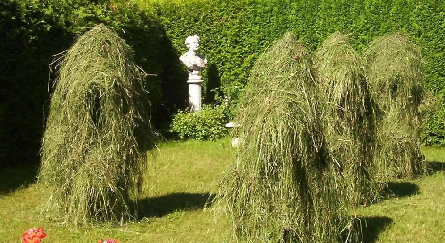 Gasthaus am Zierwald Garten