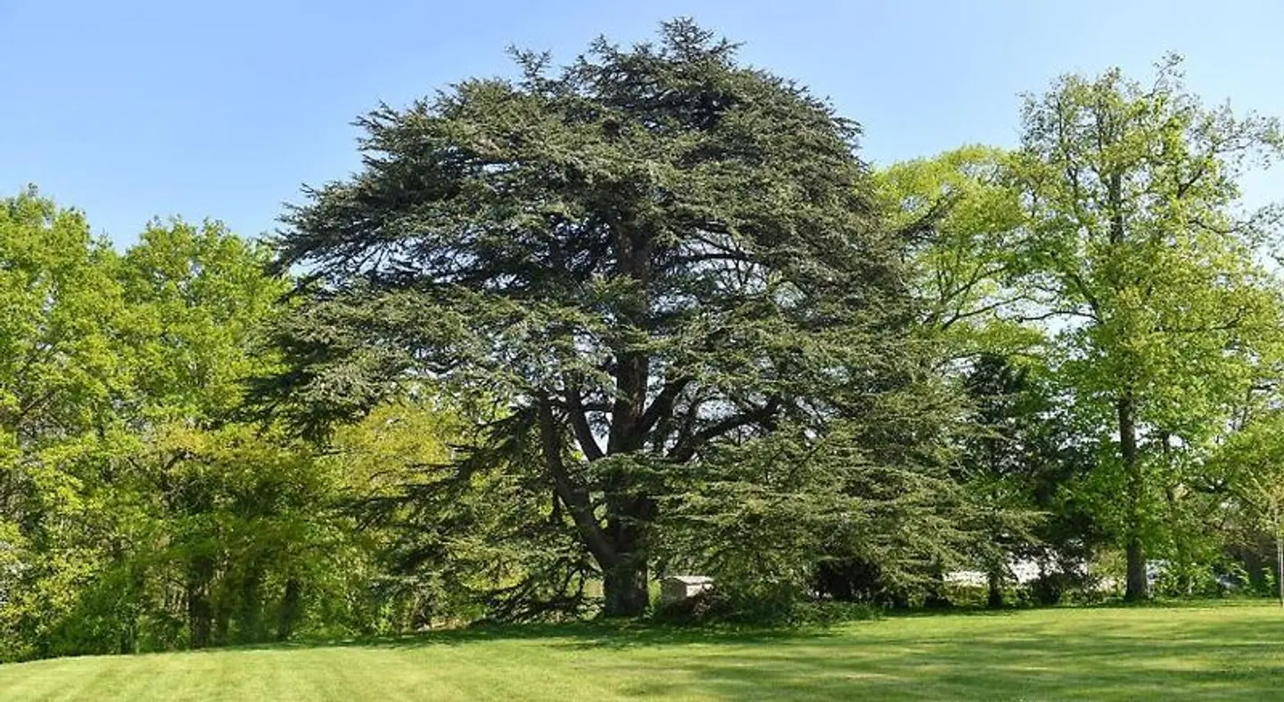 Château de la Grand'Cour LANDSCAPE