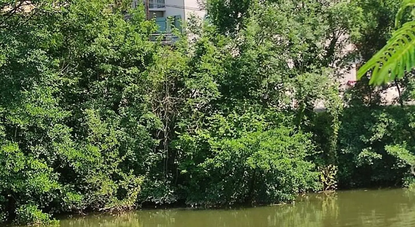 Mon Plaisir Garten
