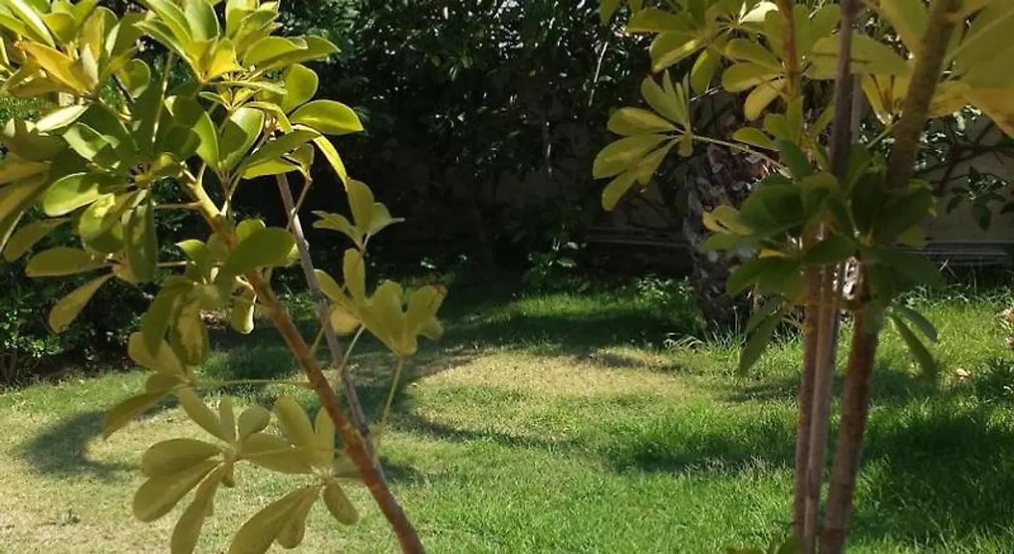 Bed & Breakfast Perla Del Sole Garten