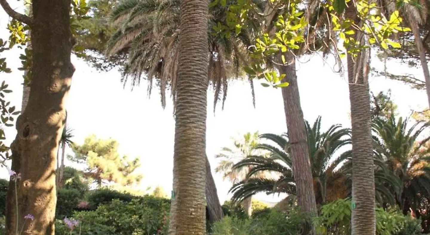Villargentina B&B Garten