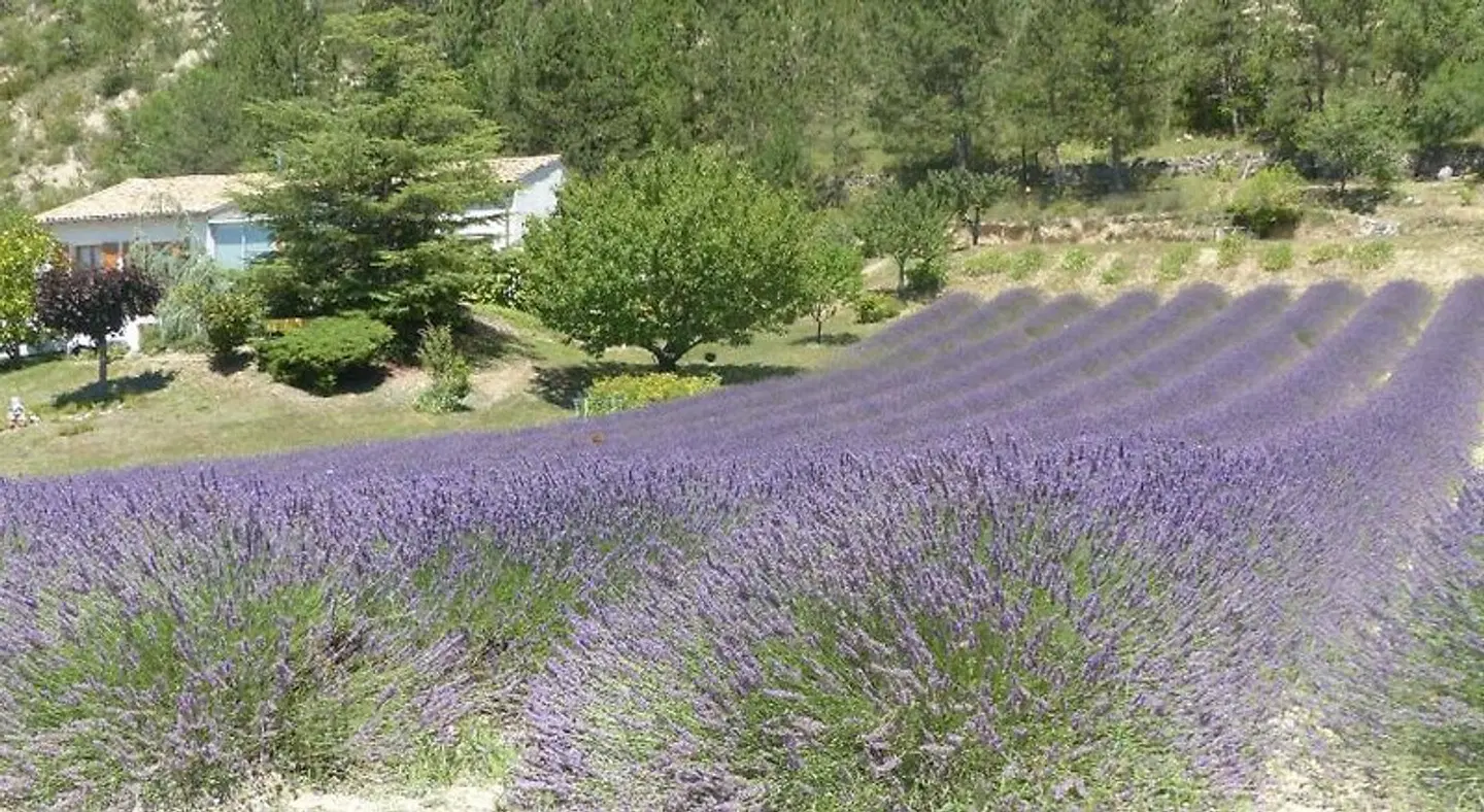 Domaine du Murier LANDSCAPE