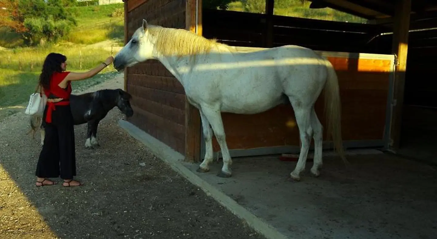 Tenuta Lisetta Tiere