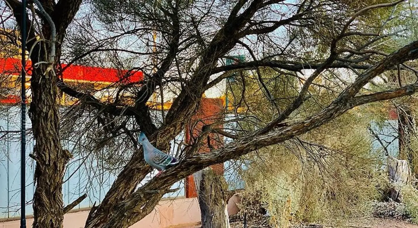 Desert Cave Hotel LANDSCAPE