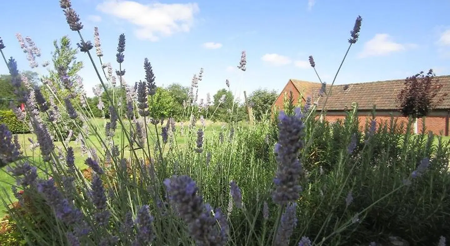 Home Farm LANDSCAPE