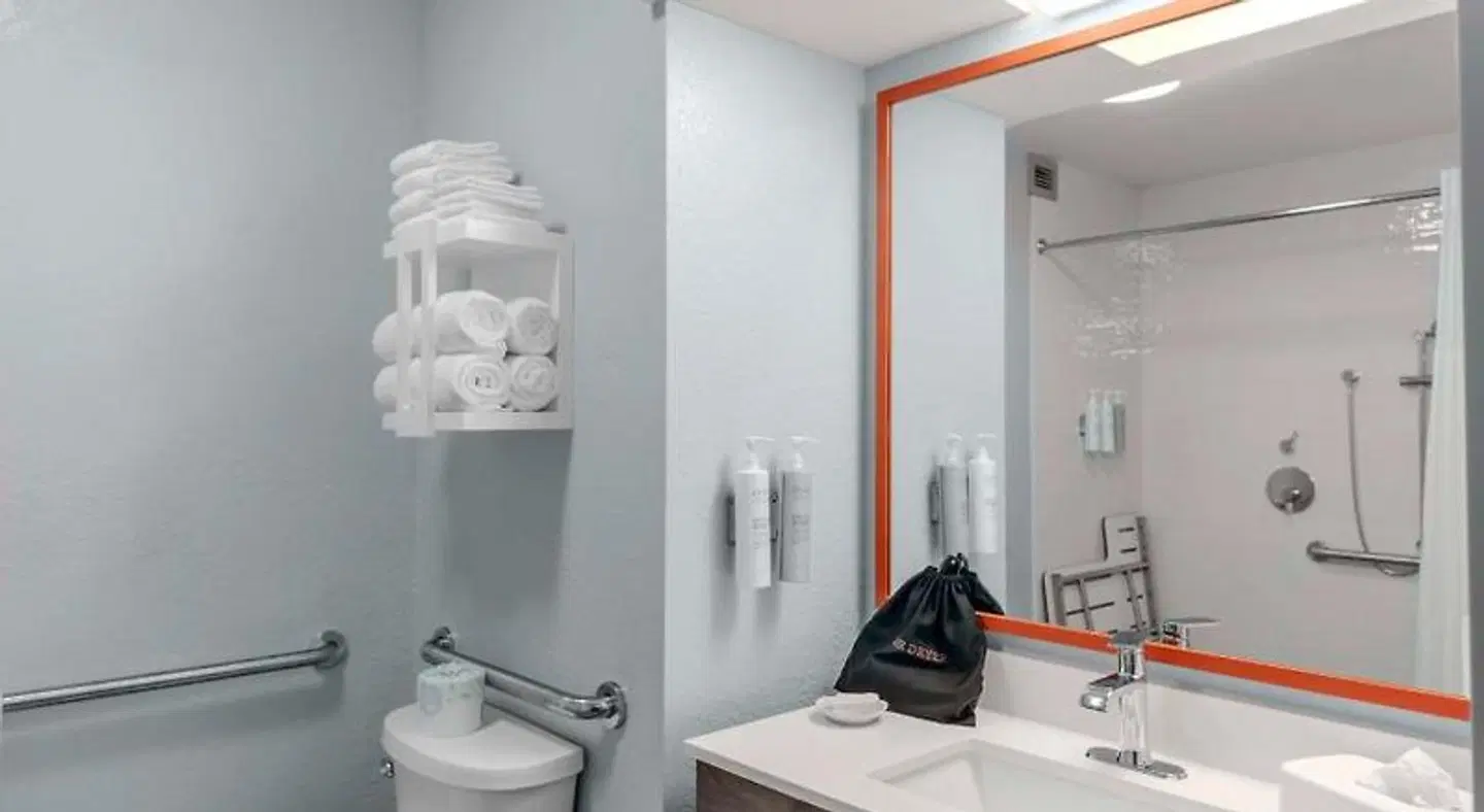 Hampton Inn Sarasota - I-75 Bee Ridge Badezimmer