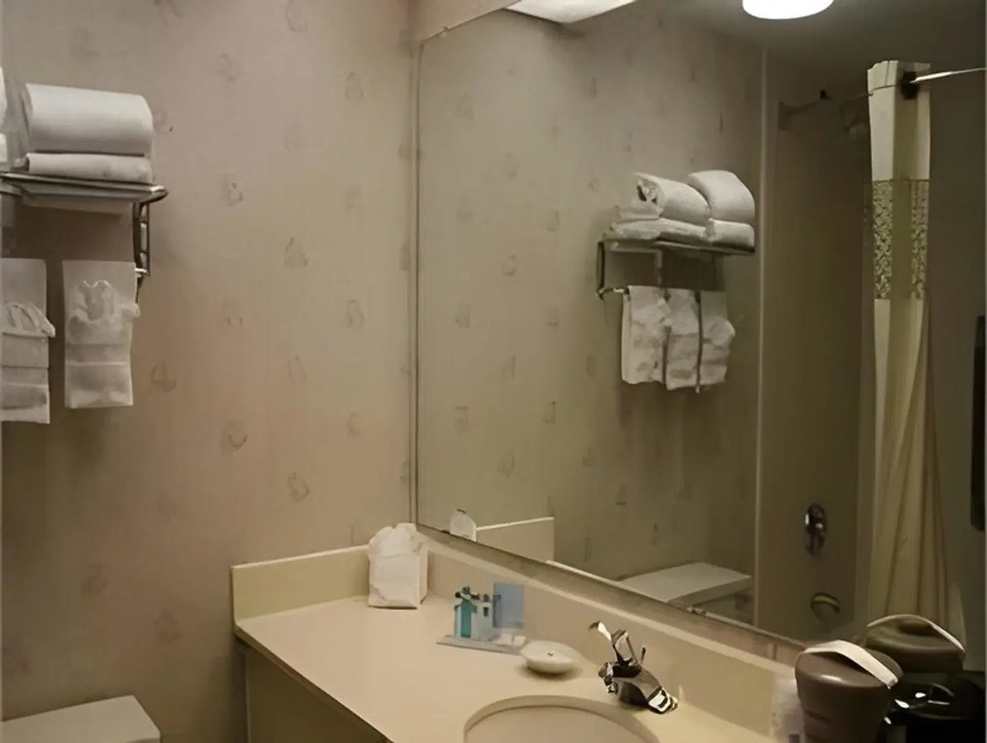 Hampton Inn Anderson Badezimmer