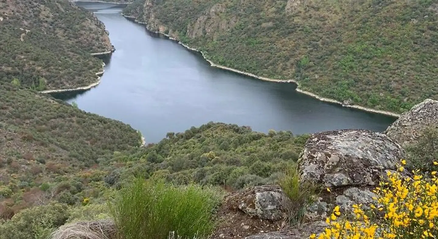 Casa das Quintas LANDSCAPE