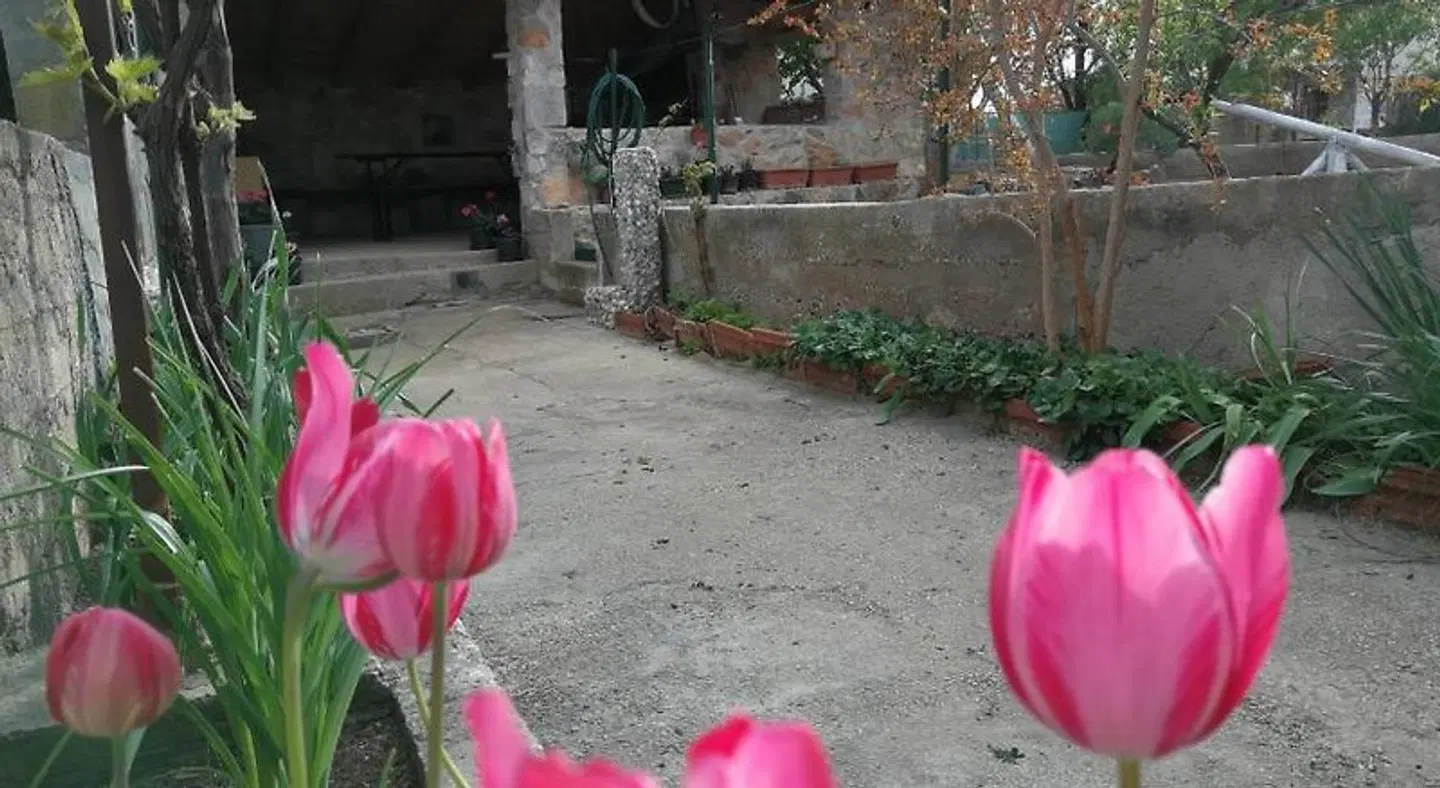 Apartments Gorka Garten