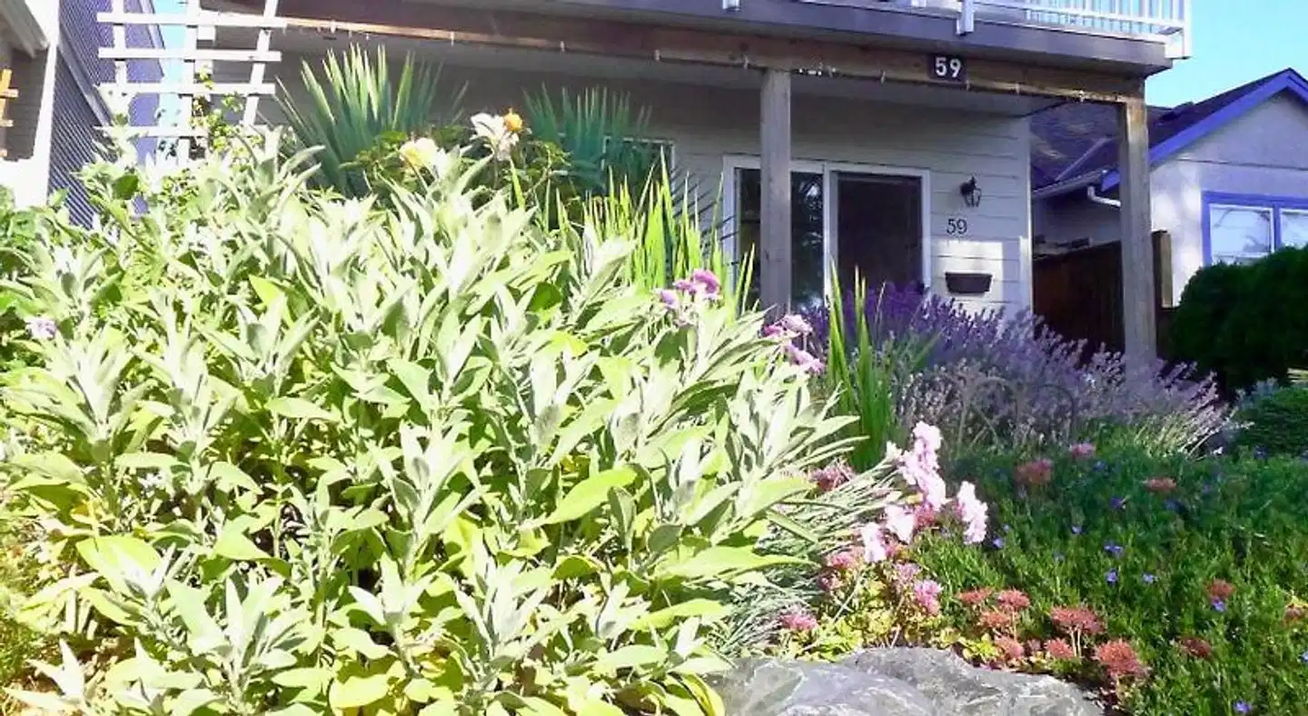 AnnArthur Guest House Garten