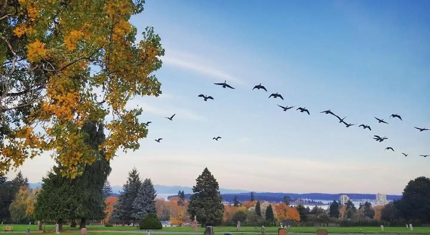 AnnArthur Guest House Landschaft