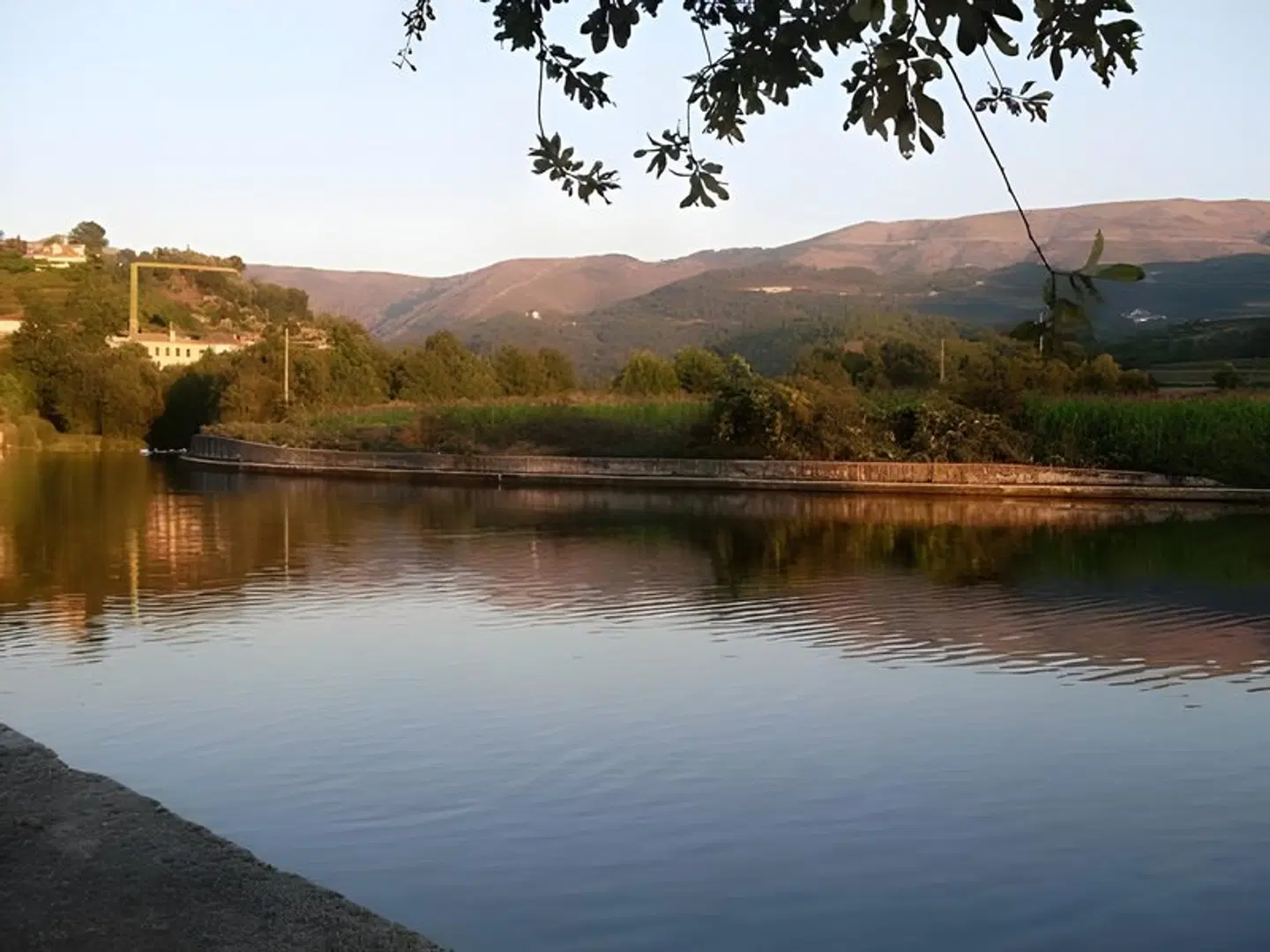 De Cerva LANDSCAPE