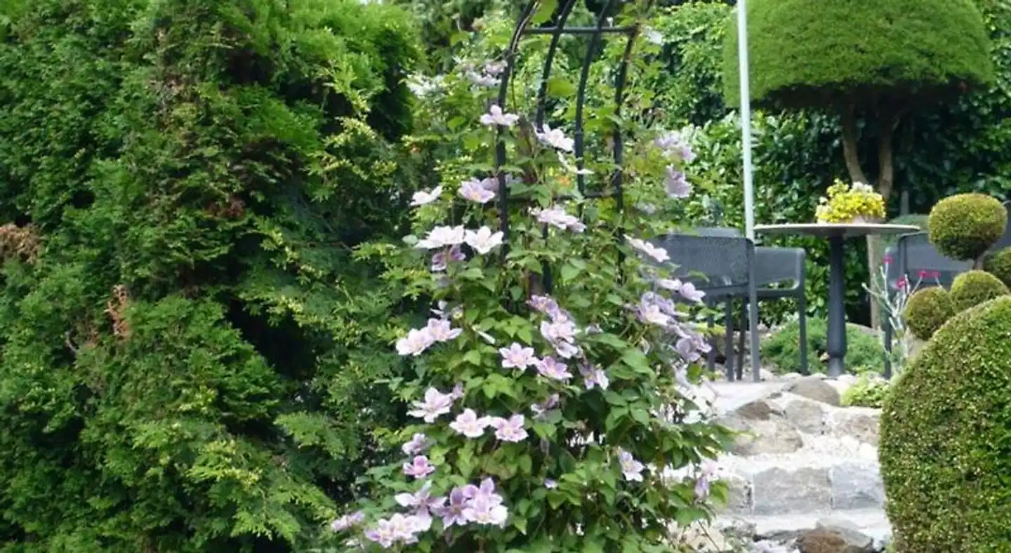 Haus Anna an der Stadtmauer Garten