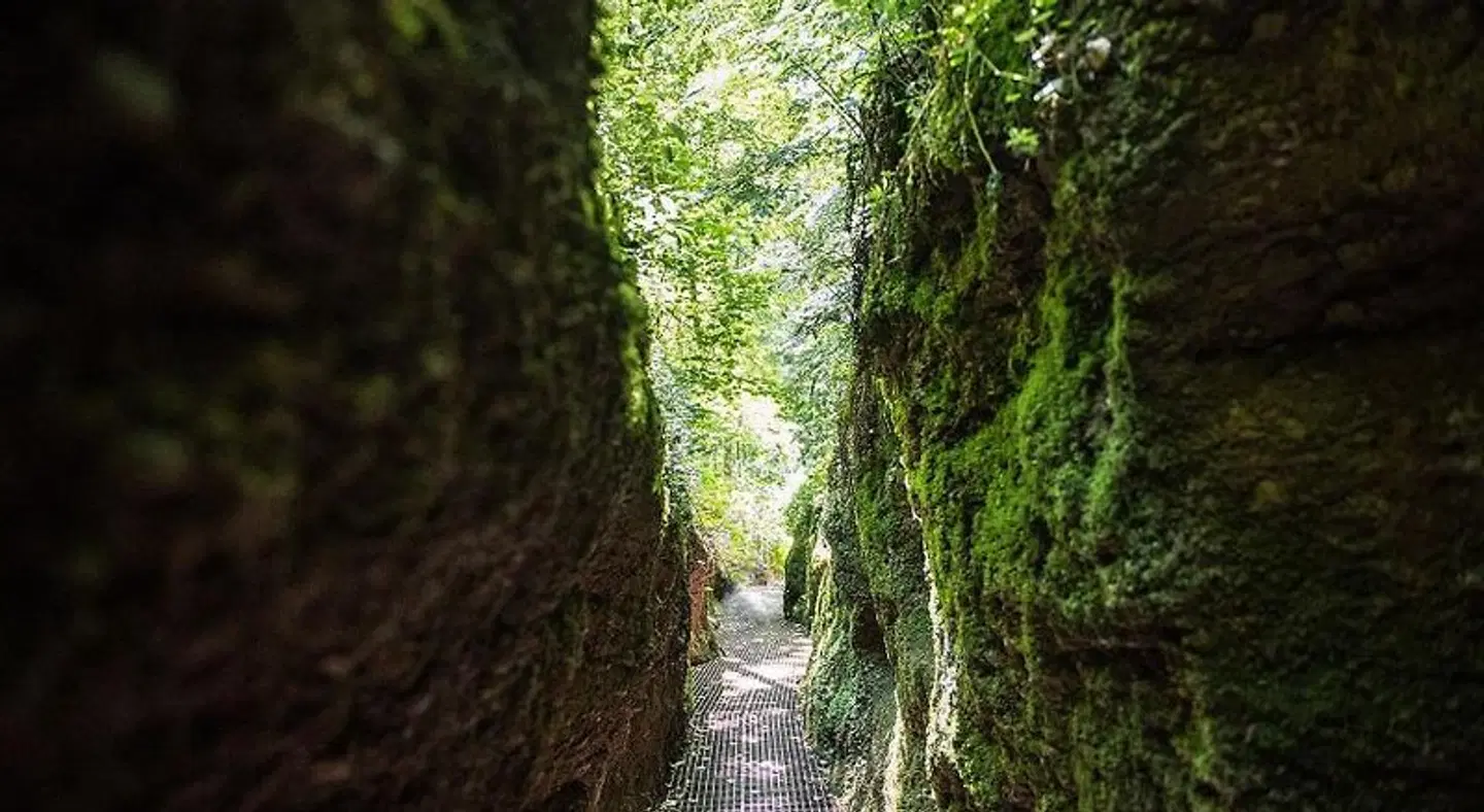 Suites MITTE - Aparthotel LANDSCAPE